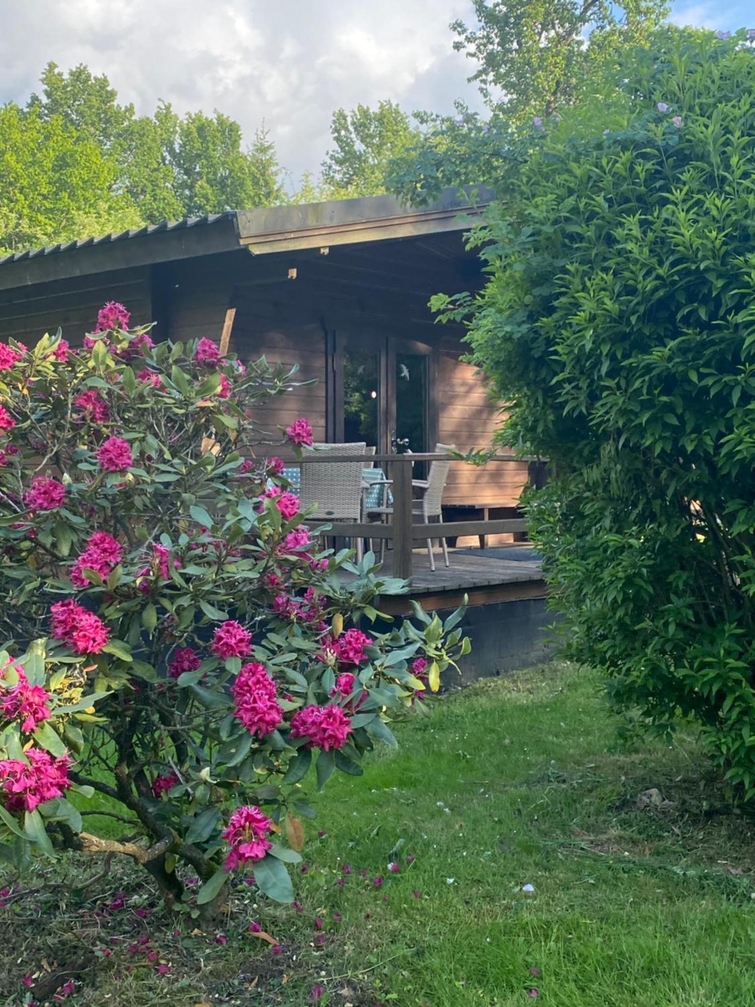 Heidegut Eschede Reitsportanlage Und Feriendorf Extérieur photo