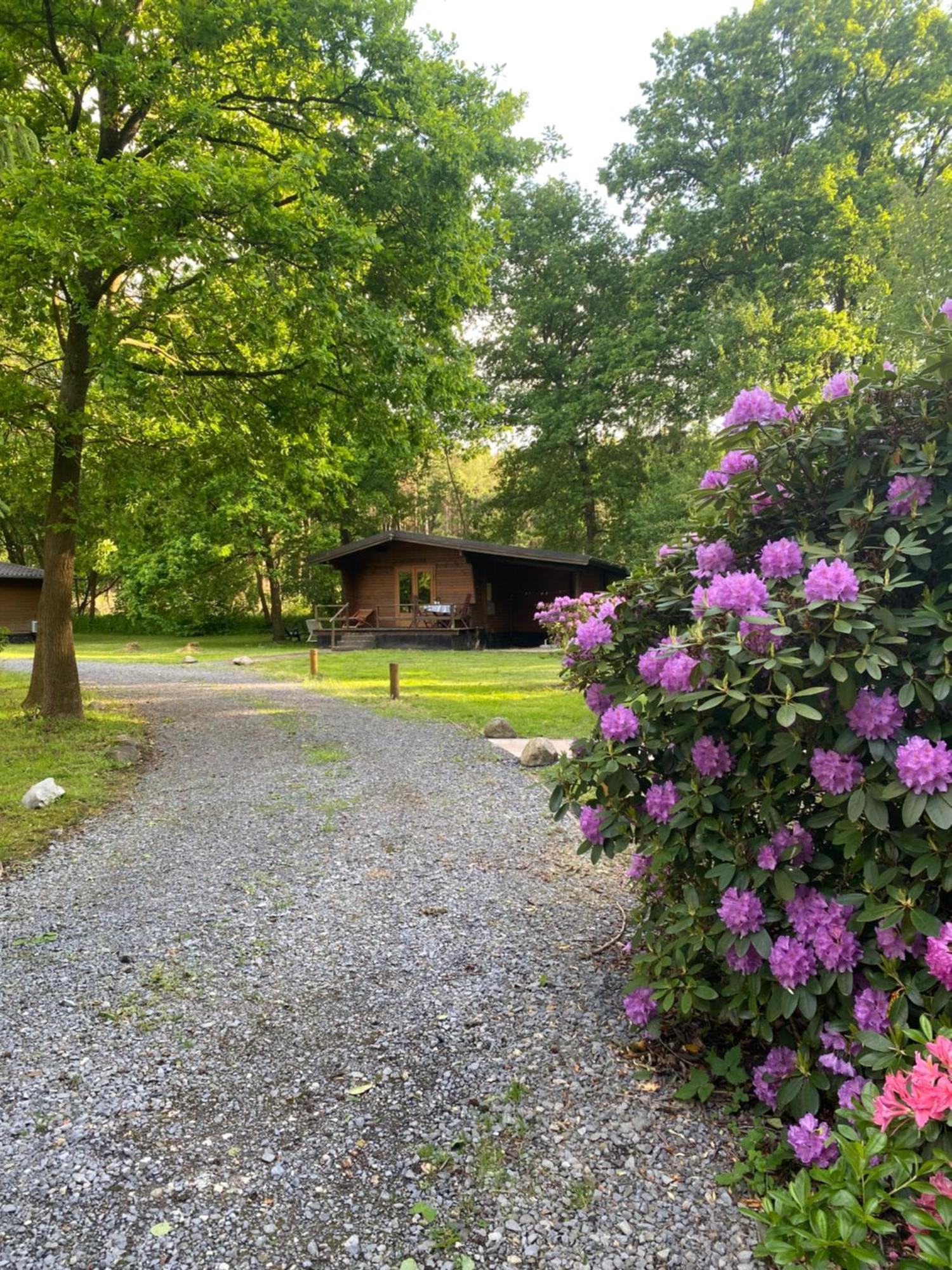 Heidegut Eschede Reitsportanlage Und Feriendorf Extérieur photo