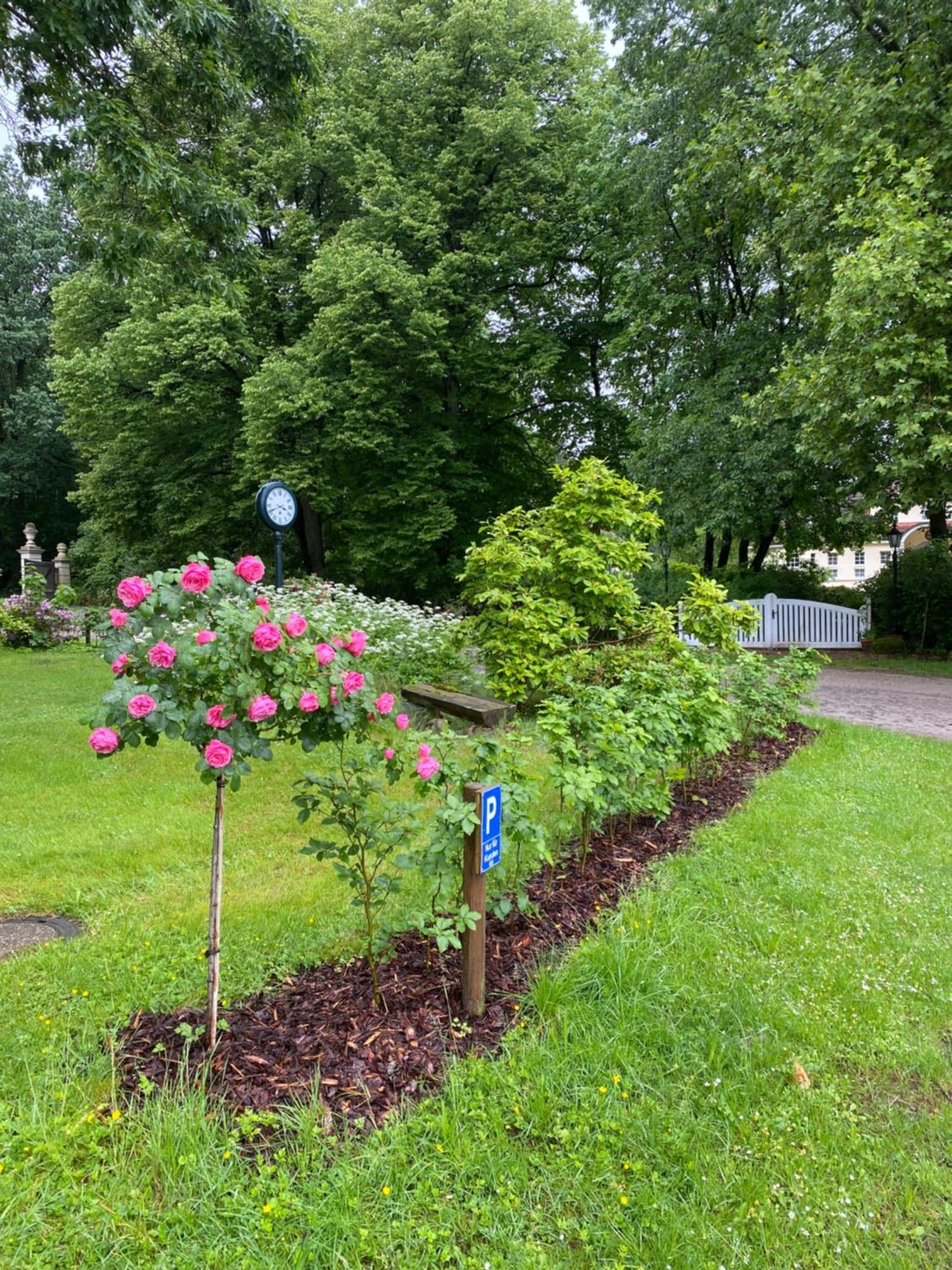 Heidegut Eschede Reitsportanlage Und Feriendorf Extérieur photo