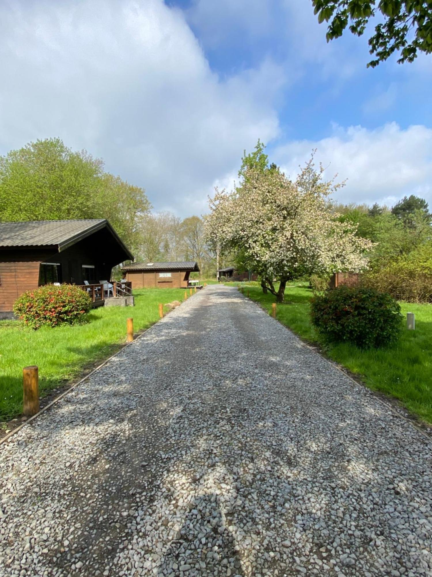 Heidegut Eschede Reitsportanlage Und Feriendorf Extérieur photo